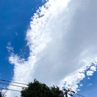 新着情報等をお届け
スタジオ フェリックスは周辺も撮影に最適です