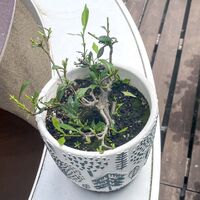 新着情報等をお届け
スタジオ フェリックスは周辺も撮影に最適です