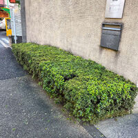 新着情報等をお届け
スタジオ フェリックスは周辺も撮影に最適です