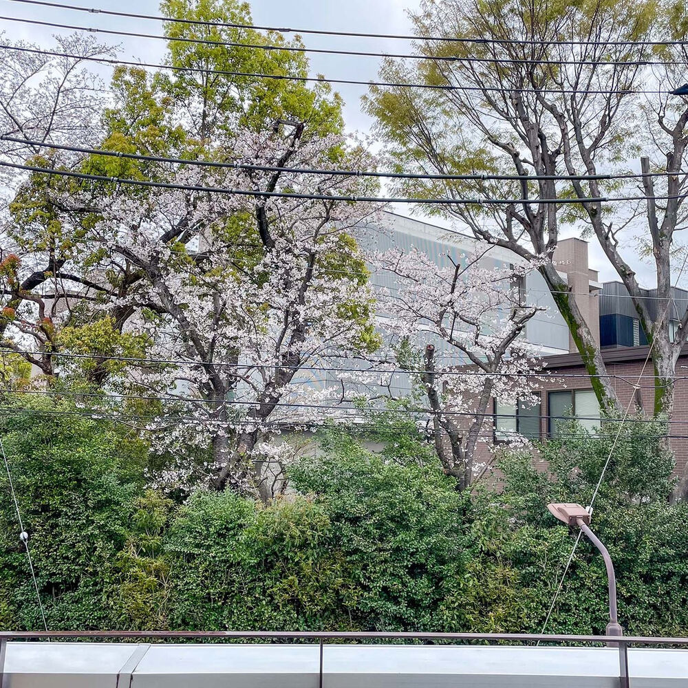 新着情報等をお届け
スタジオ フェリックスは周辺も撮影に最適です
