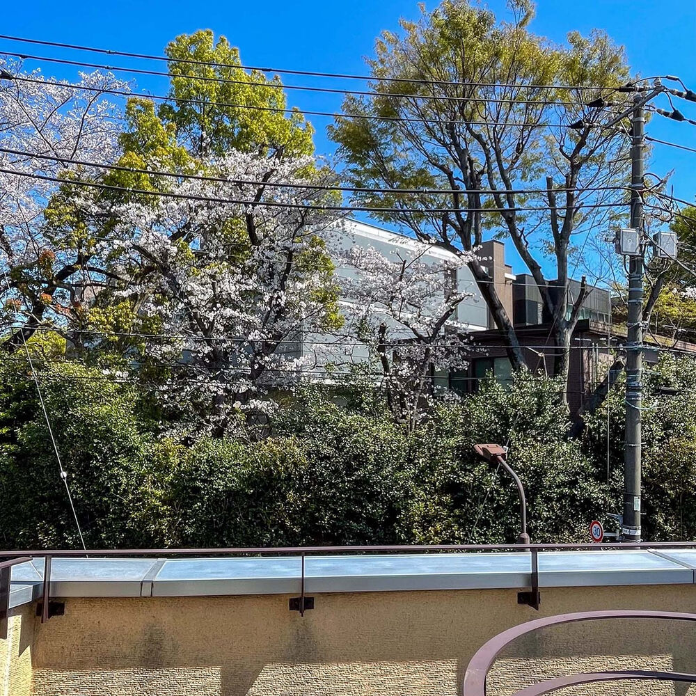新着情報等をお届け
スタジオ フェリックスは周辺も撮影に最適です