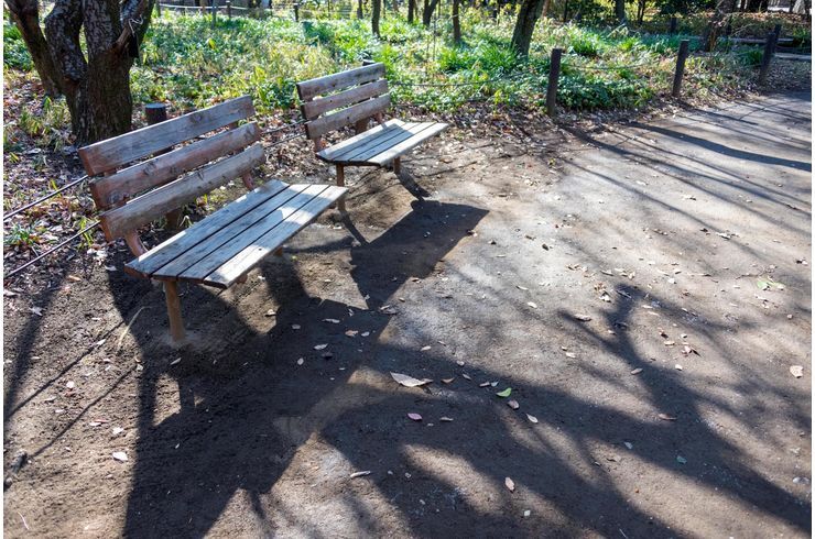 駒場野公園