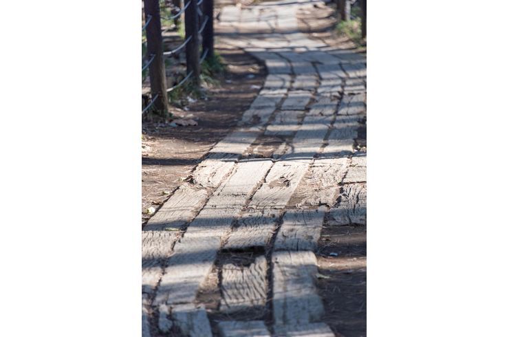 駒場野公園