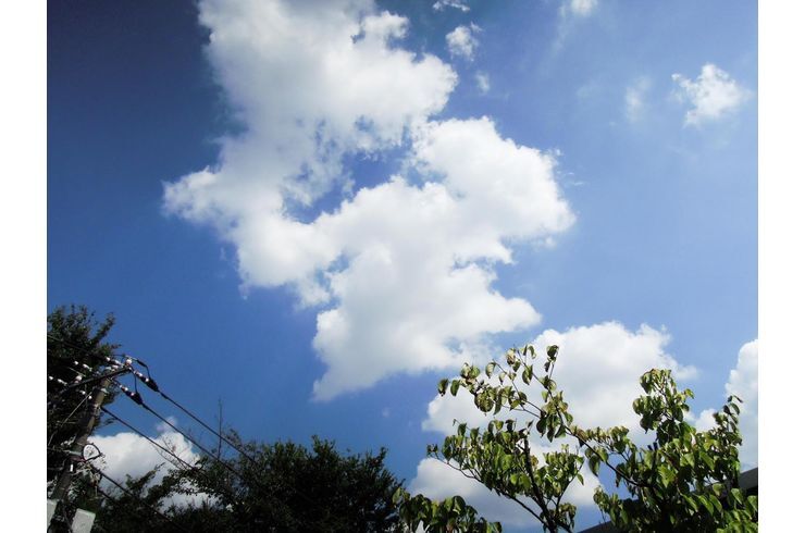 スタジオフェリックスの空