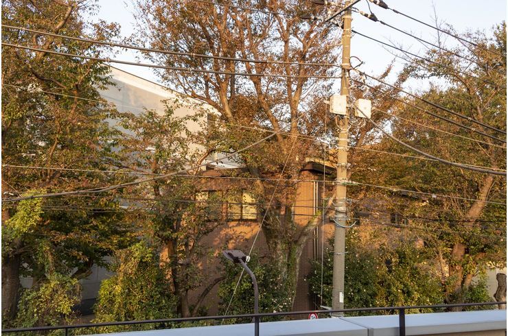 大学入試センター