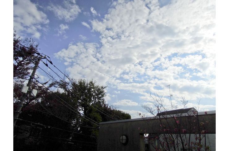 秋の雲