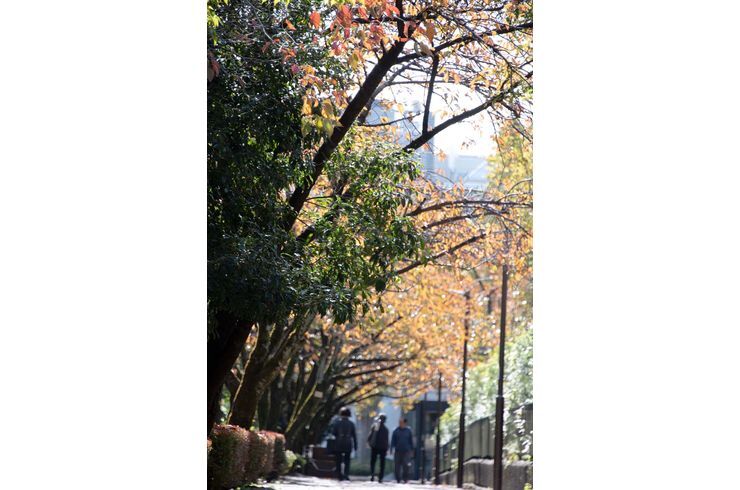 駒場野公園1