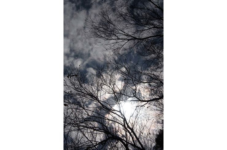 駒場野公園