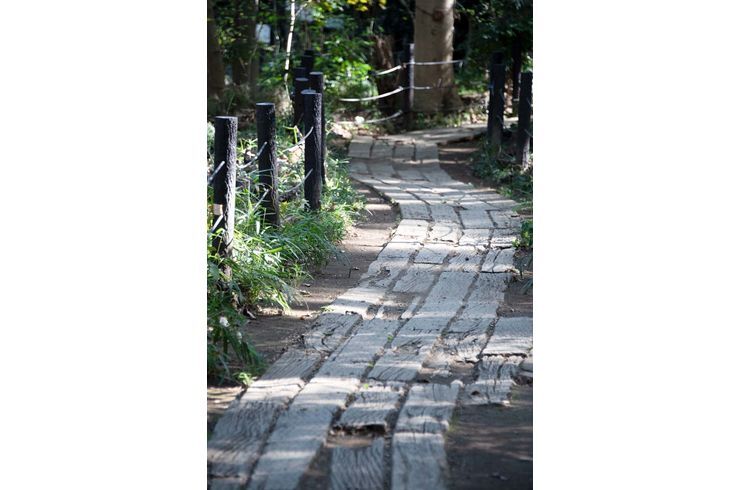 駒場野公園