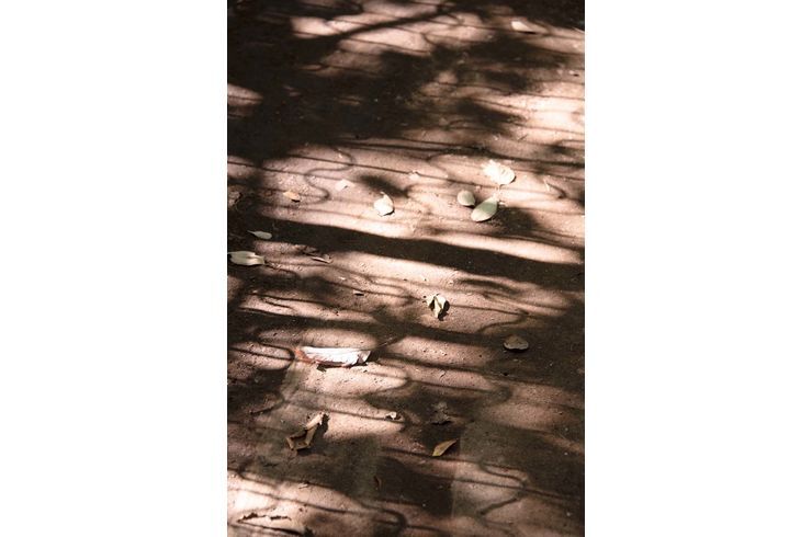 駒場野公園散策