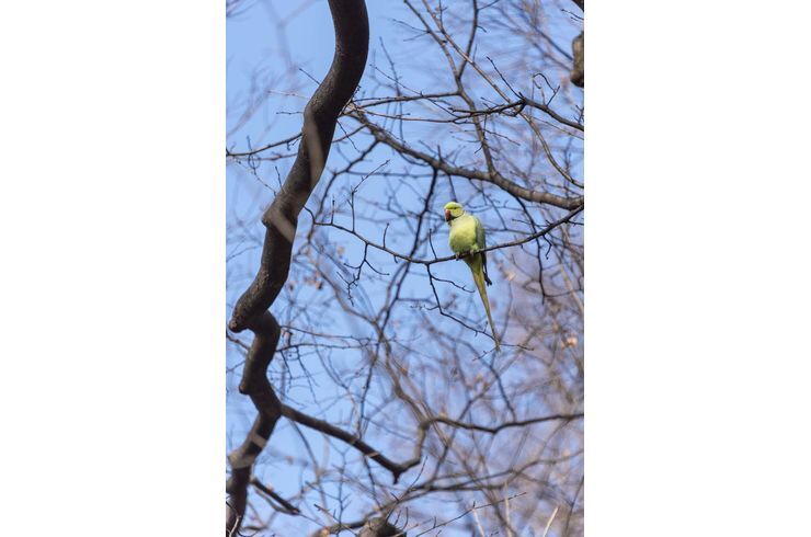 駒場野公園