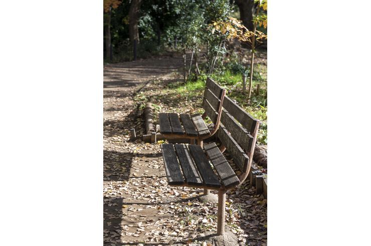 駒場野公園