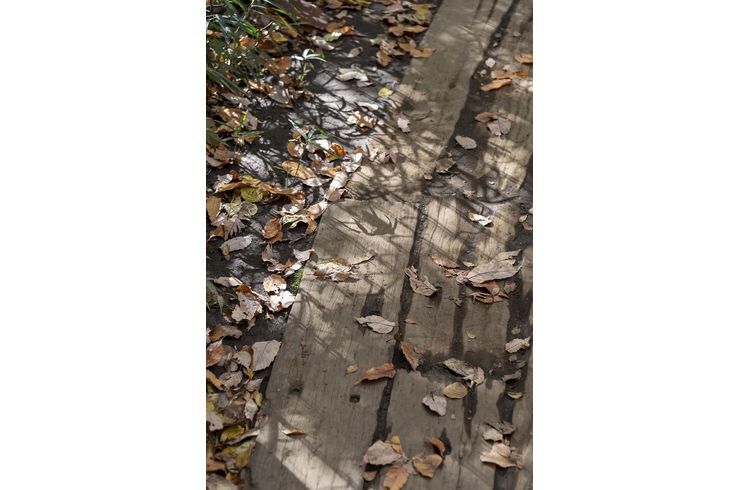 駒場野公園
