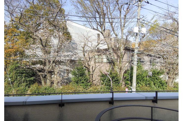 スタジオ前の桜